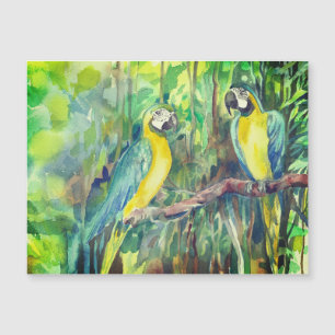 Aras bleus et jaunes, amis oiseaux