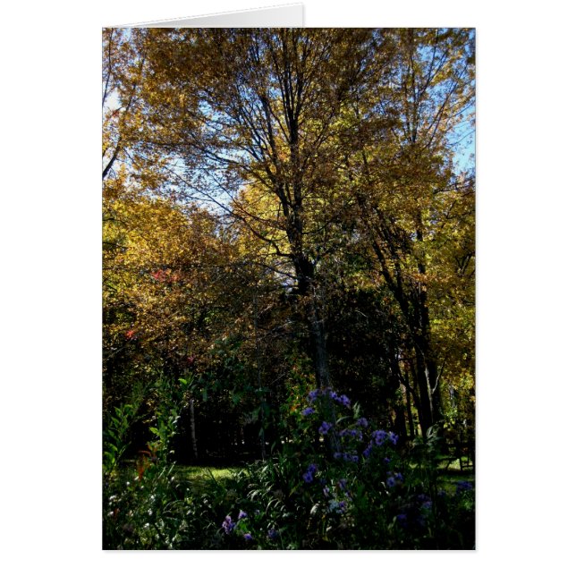 Arborescence vide_mauve (Devant)