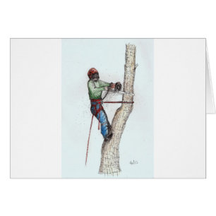 Arboriste Tree Surgeon