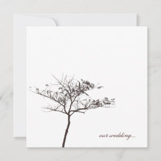 arbre