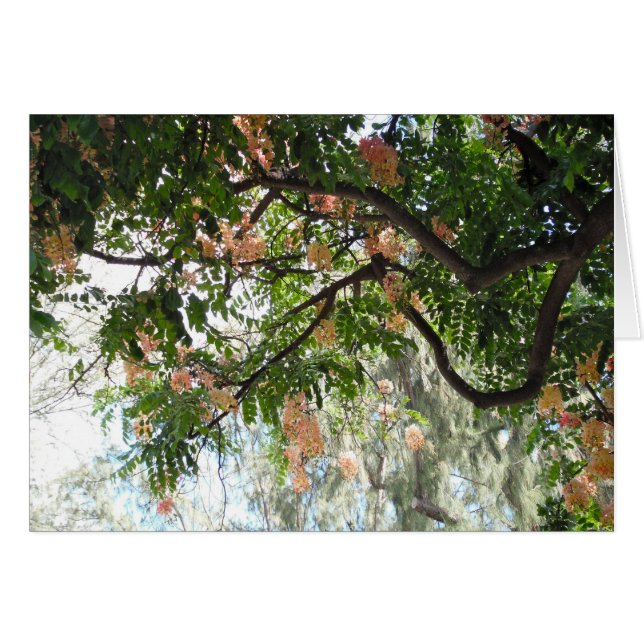 Arbre à douche (Devant Horizontal)