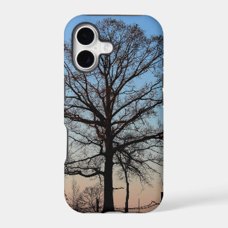Arbre à l'iPhone 5 de crépuscule