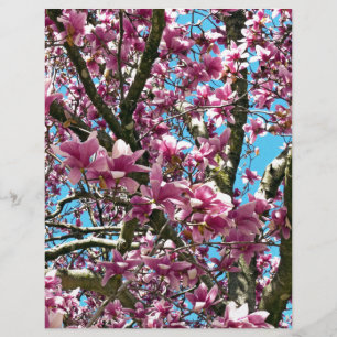 Arbre à tulipes