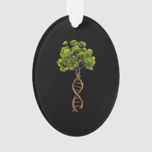 Arbre Adn De Vie Science Génétique Biologie Enviro