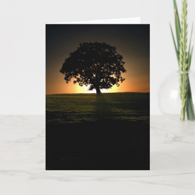Arbre au coucher du soleil. Carte par cARTerART. (Devant)