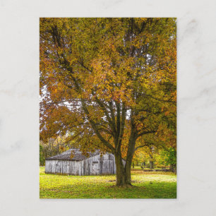 Arbre Automne Et Grange Carte Postale Peinture