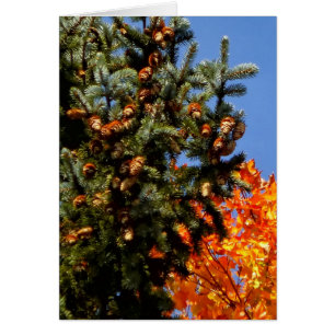 Arbre avec Pinecones