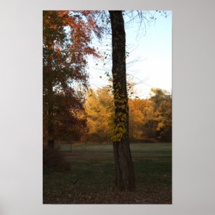 Arbre avec Poster Feuille Jaune