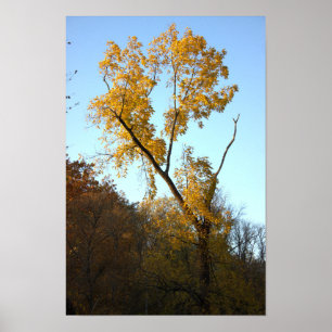 Arbre avec Poster Feuille Jaune