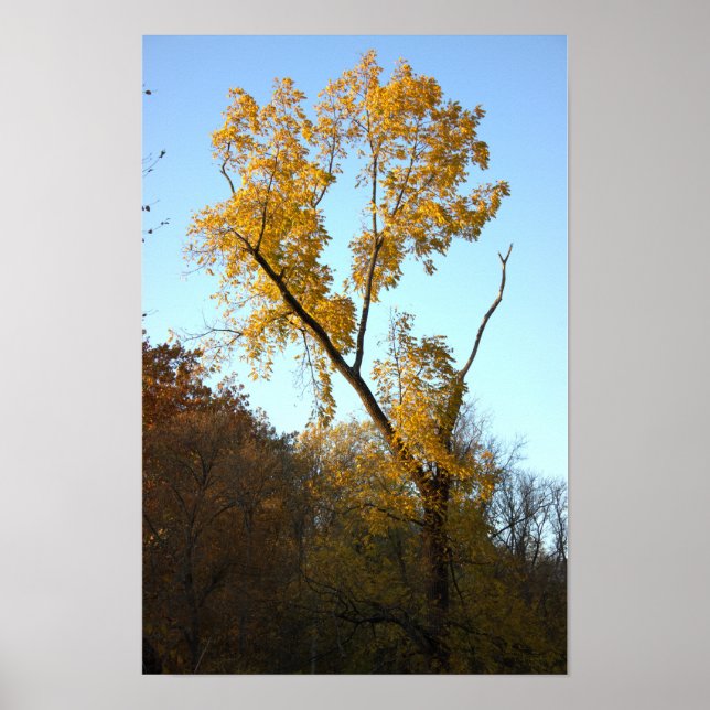 Arbre avec Poster Feuille Jaune (Devant)