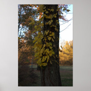 Arbre avec Poster Feuille Jaune