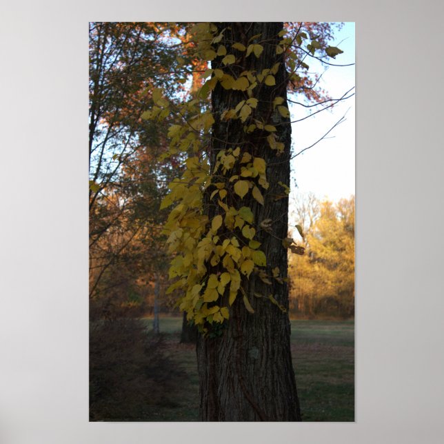 Arbre avec Poster Feuille Jaune (Devant)