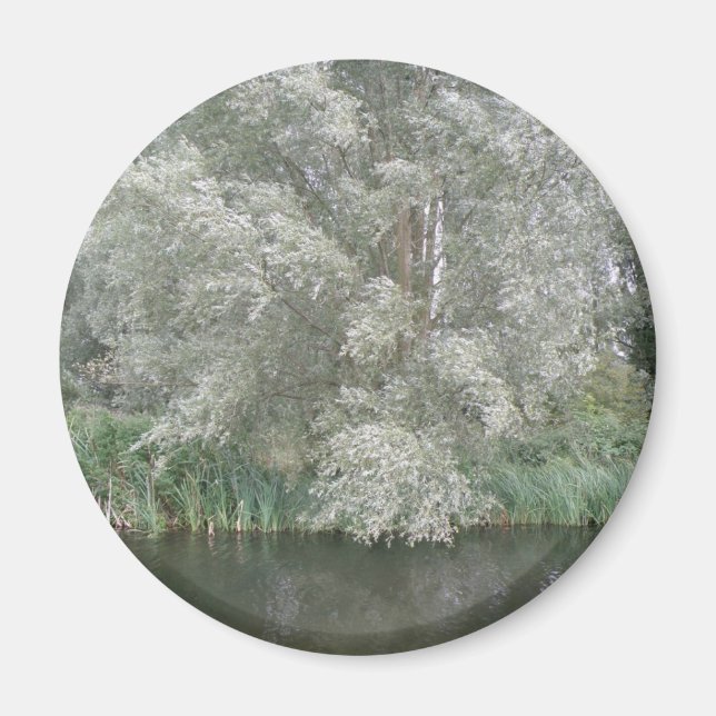 Arbre blanc et aimant paysage fluvial (Devant)
