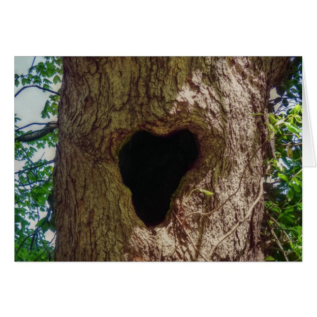 Arbre cardiaque (Devant horizontal)