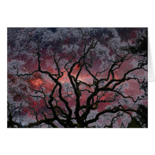 Arbre cosmique - centre de manière laiteuse