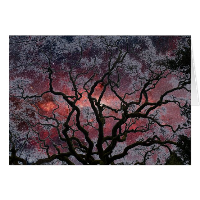 Arbre cosmique - centre de manière laiteuse (Devant horizontal)