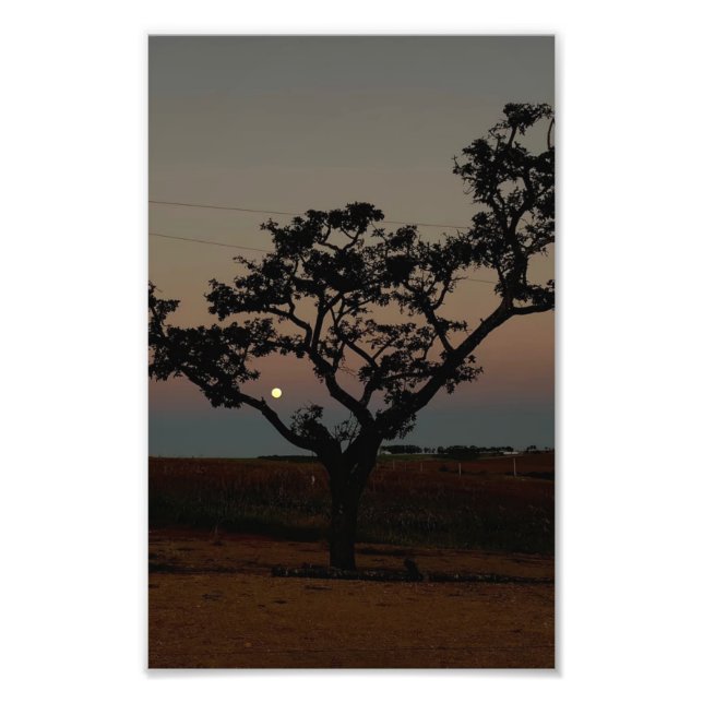 Arbre Coucher de Soleil Mur Nature Photographie Ru (Devant)