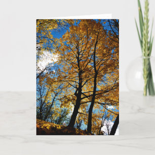Arbre dans la carte de voeux Foliage