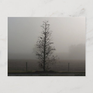 Arbre dans le brouillard 038 carte postale