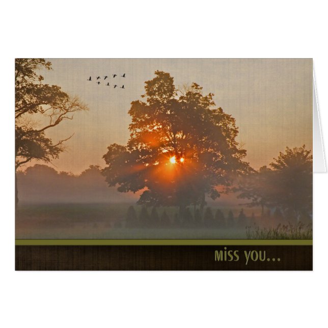 Arbre D'Automne À La Lumière Du Soleil (Devant horizontal)