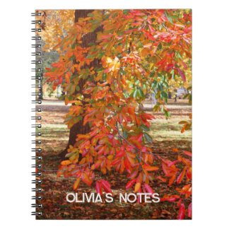 Arbre d'automne coloré Carnet personnalisé