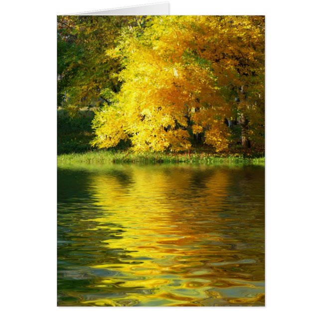 Arbre d'automne dans la forêt avec réflexion (Devant)