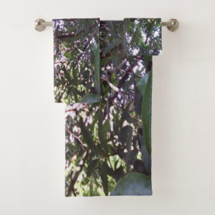 Arbre d'avocat