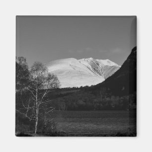 Arbre de bouleau et aimant Blencathra