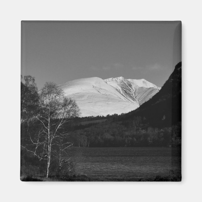 Arbre de bouleau et aimant Blencathra (Devant)