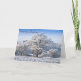 Arbre de chêne dans le givre Carte de Noël