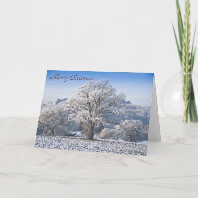 Arbre de chêne dans le givre Carte de Noël (Devant)