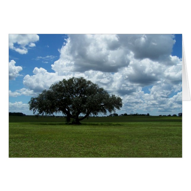 Arbre de chêne et nuages (Devant horizontal)