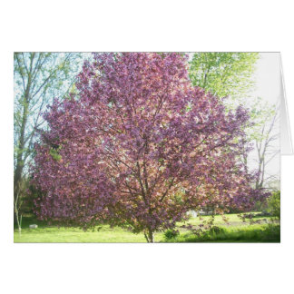 Arbre de crabes en fleurs