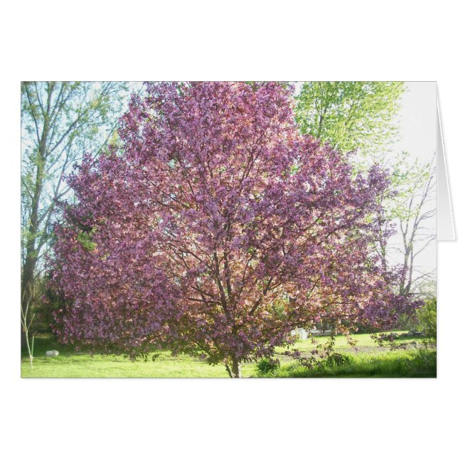 Arbre de crabes en fleurs (Devant horizontal)