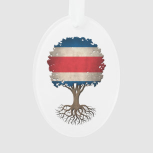 Arbre de drapeau de Rican de côte de la vie