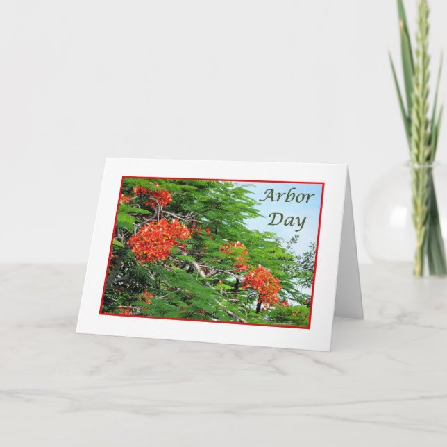 Arbre de flamme rouge de carte de journée de (Devant)