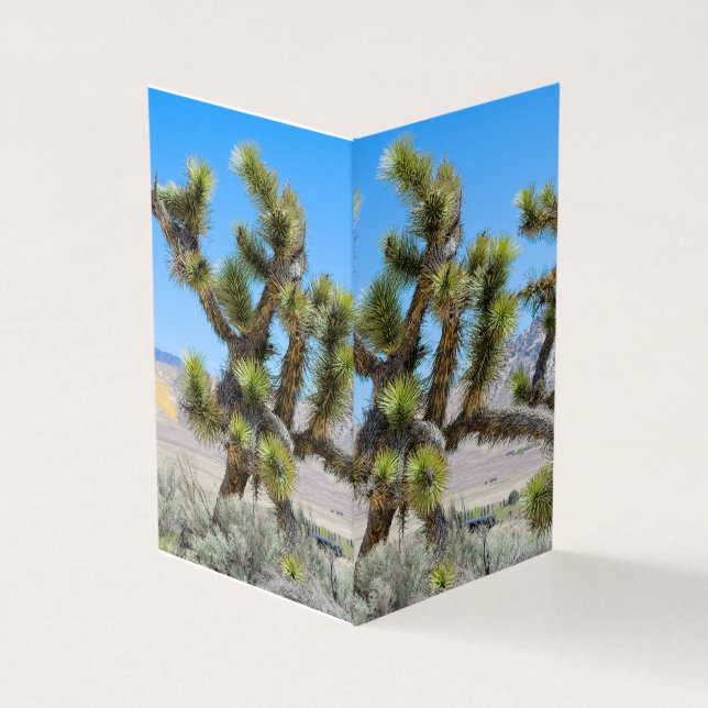Arbre de Joshua en Californie      (Outside)