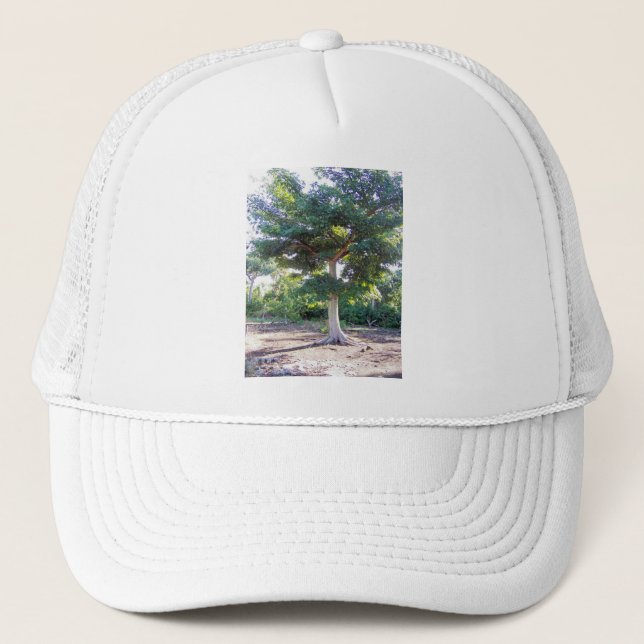 Arbre de la sagesse casquette (Devant)