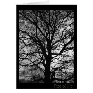 Arbre de la vie - non seulement pour des huggers