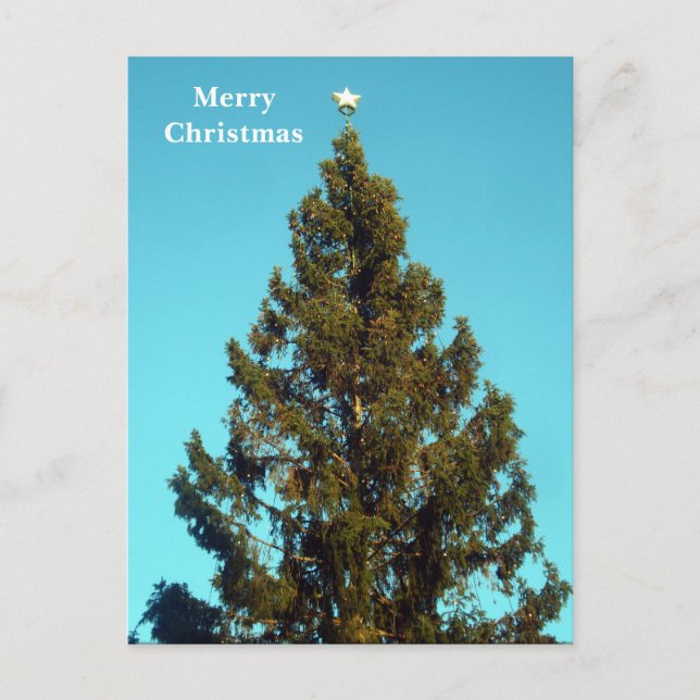 Arbre de Noël à Trafalgar Carré Voiture de vacance (Devant)