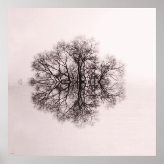 Arbre de réflexion 2 Poster d'art Imprimer