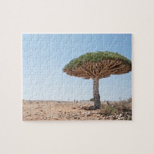 Arbre de sang de dragon puzzle