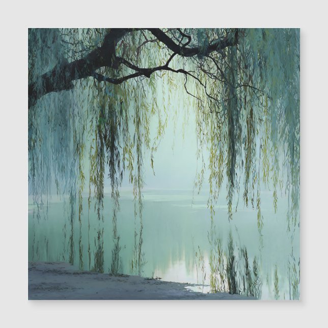 Arbre de saule serein - Art de la réflexion de la  (Devant)