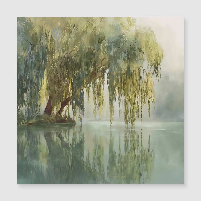 Arbre de saule serein - Réflexion - Art de la natu (Devant)