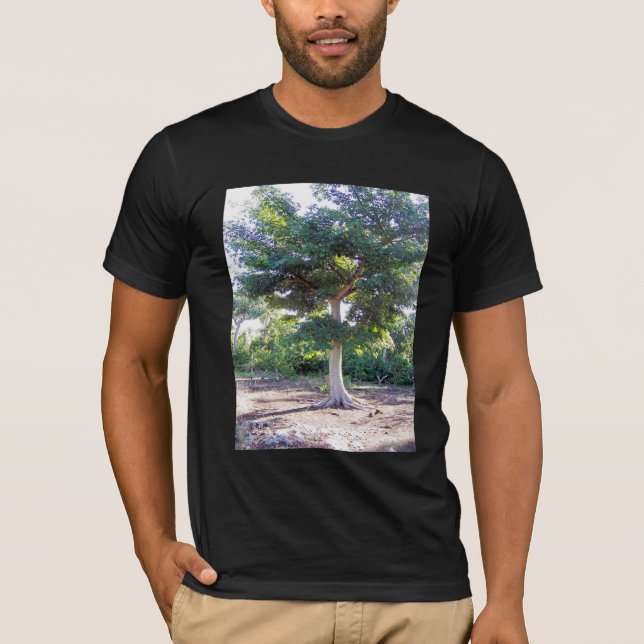 Arbre de T-shirt Sagesse (Devant)