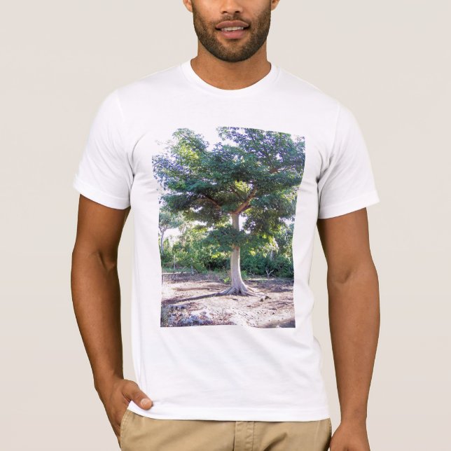 Arbre de T-shirt Sagesse (Devant)