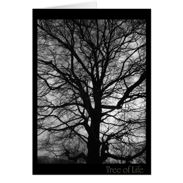 Arbre de vie - pas seulement pour les accros d'arb (Devant)