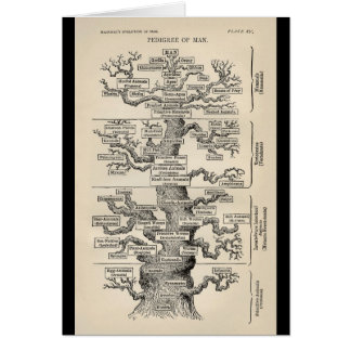 Arbre d'Ernst Haeckel le "de la vie "