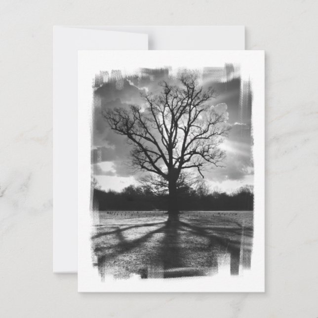 Arbre des branches de garde (Devant)