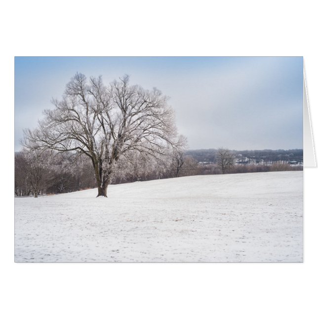 Arbre d'hiver (Devant Horizontal)
